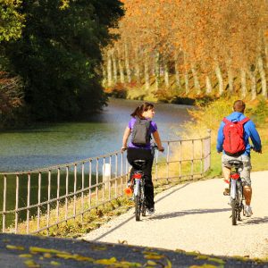 Vélo canal du Midi
