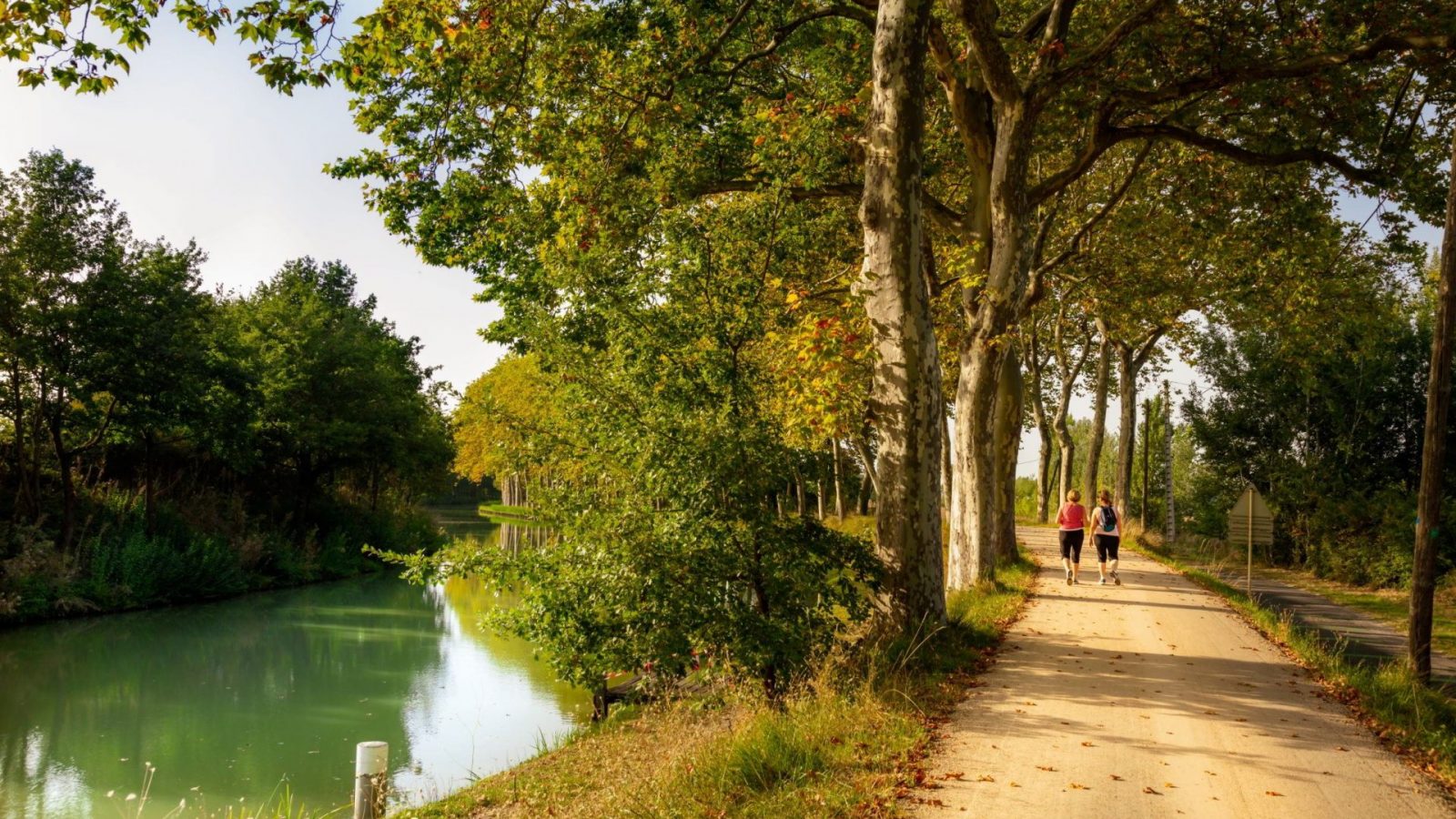 Naturaleza en el Canal Du Midi
