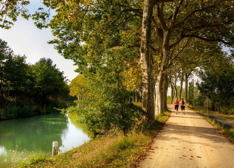 Senderismo a pie por el Canal du Midi © Aspheries