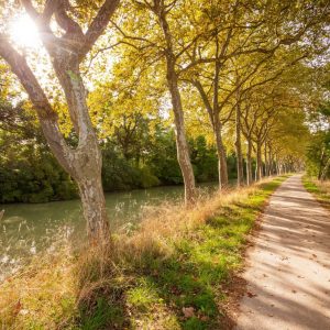 Canal du Midi