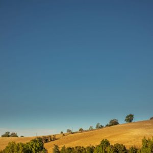 Collines du Lauragais