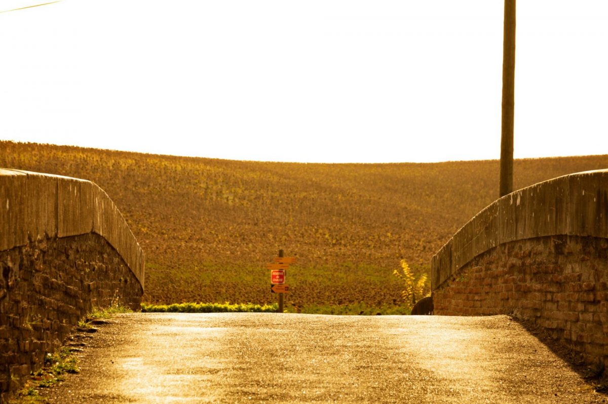 Canal Midi randonnée à pied Riquet balade