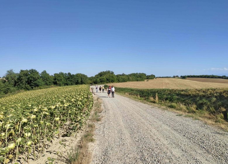 Randonnée sentier éoliennes Calmont © Lauragais Tourisme