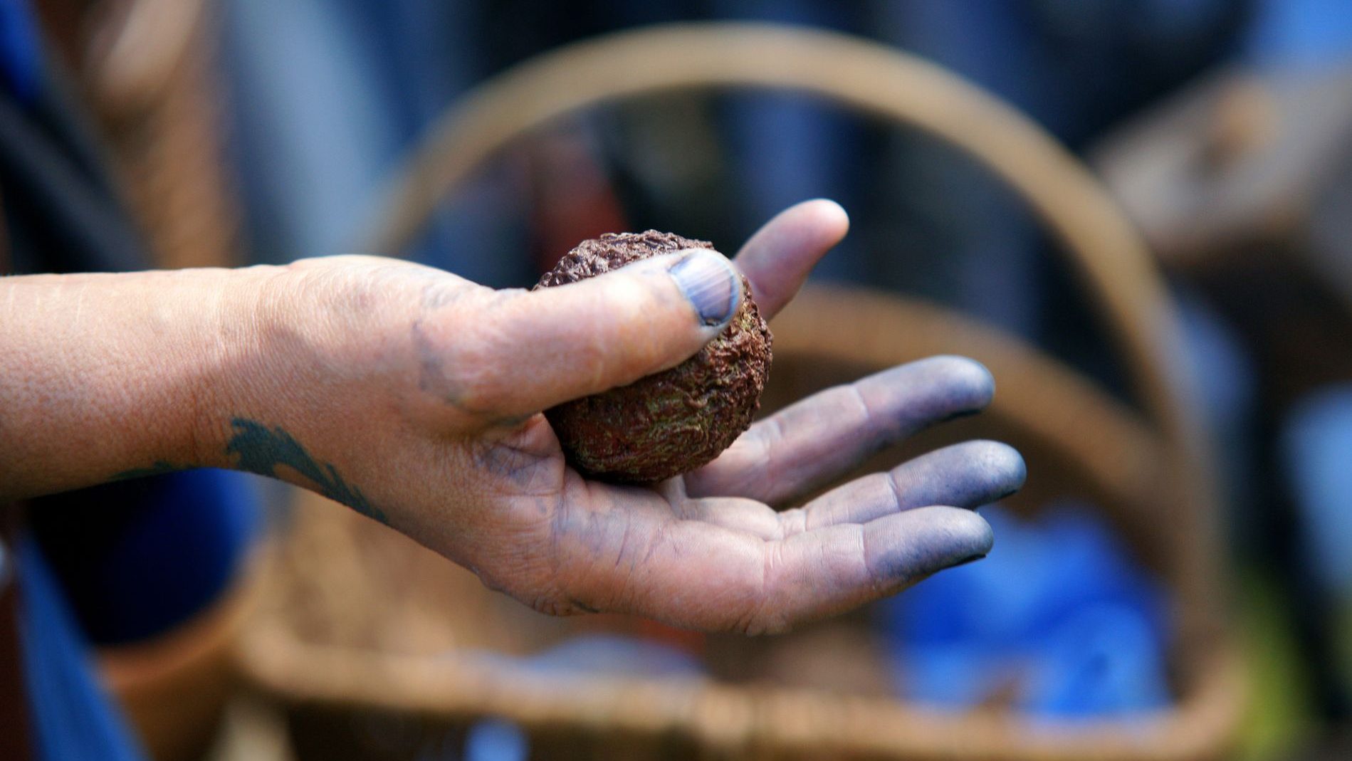 Boule de cocagne