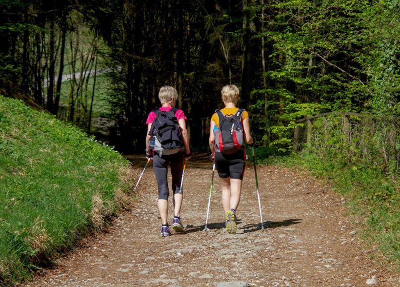 Nordic hiking