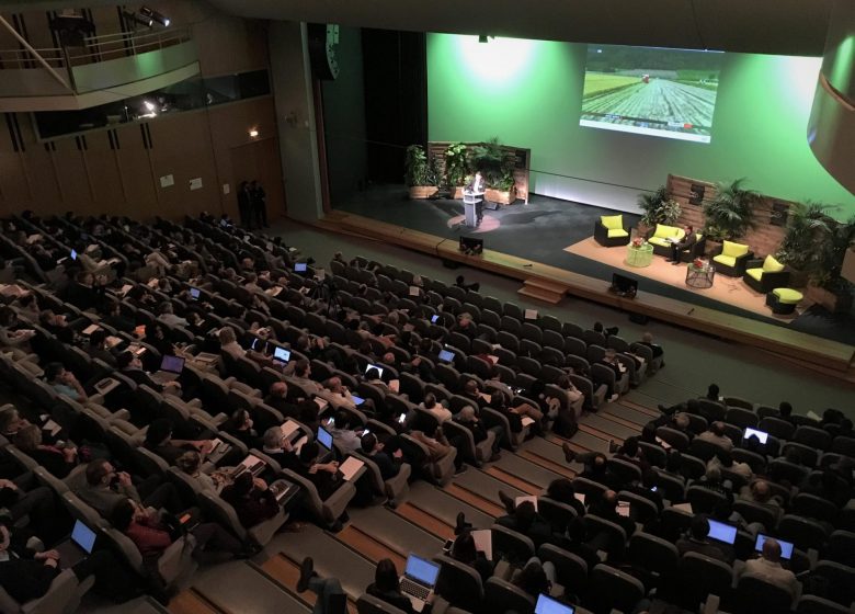 Amphi Diagora