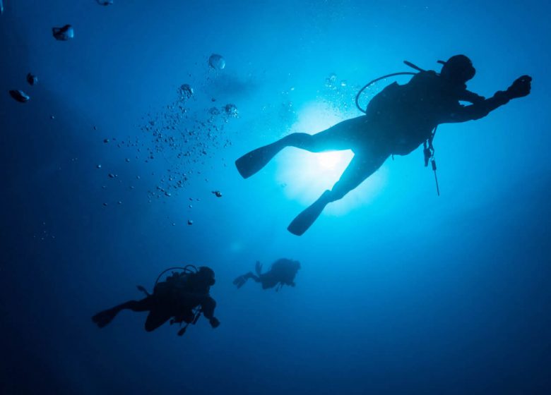 argonaut diving