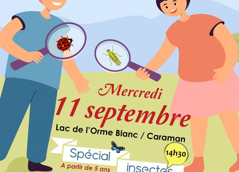 Affiche Naturolac été Indiv web