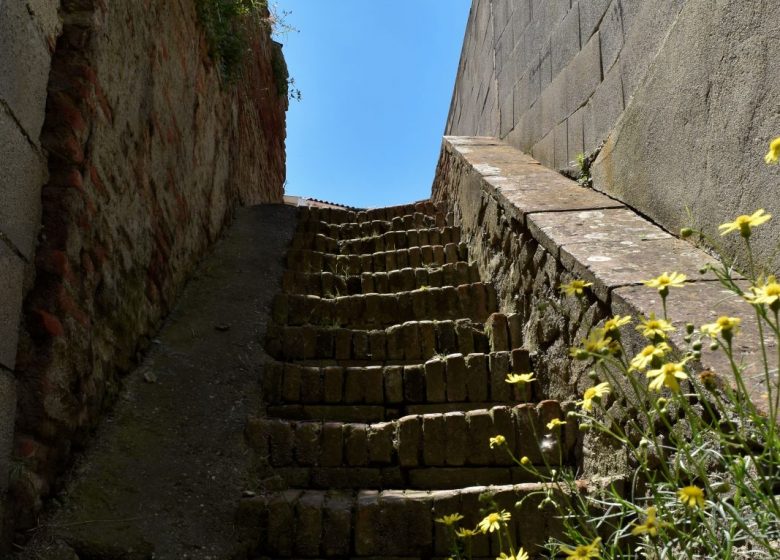 © Luca Sorroche (12)