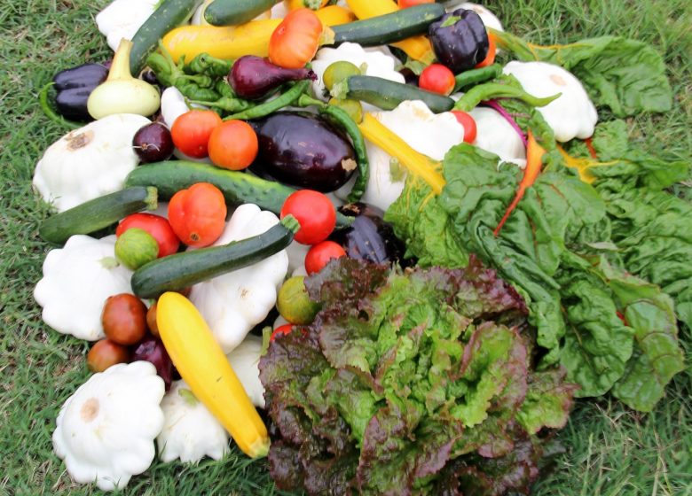 Saveurs de la Terre 2023 (2)