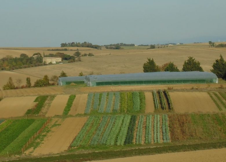 Saveurs de la Terre 2023 (3)