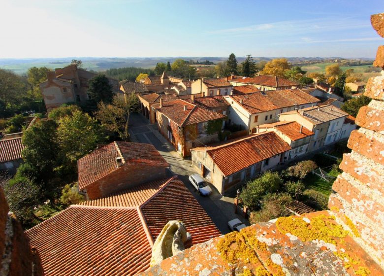 Aerial view ⒸC.Deschamps