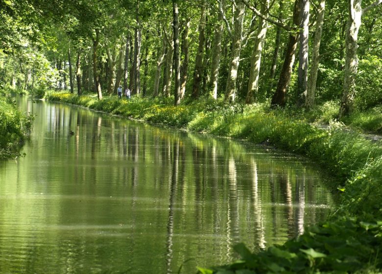 Canal du Midi Patrimoine Mondial Unesco_10