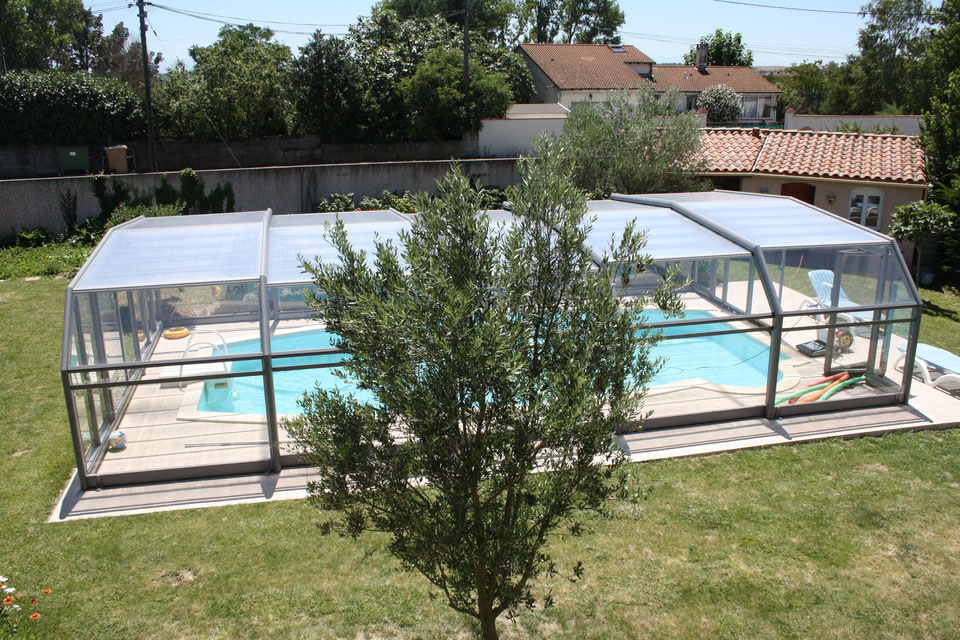olive trees swimming pool
